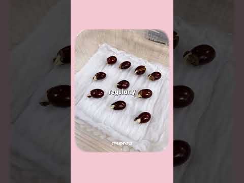 🌸 Don’t Throw Away Lychee Seeds! Grow a Magical Pink Forest at Home ✨ thumbnail