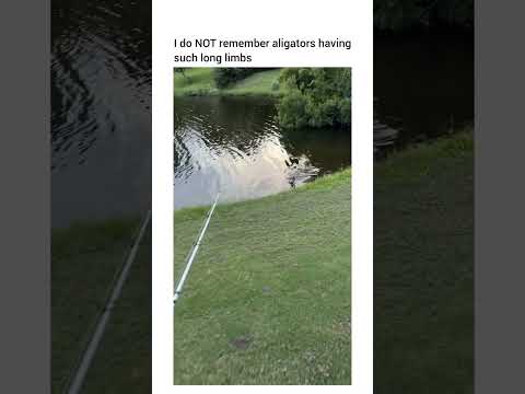 They can run up to 22mph btw… you cannot thumbnail