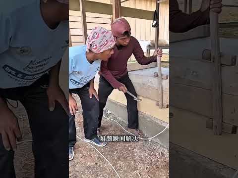 明明乾一樣的活，徒弟頻繁失手，老師傅卻得心應手！#shorts | #紀錄片 #有趣  #creative thumbnail