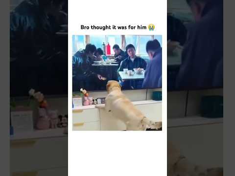 Poor Dog 😞 thumbnail