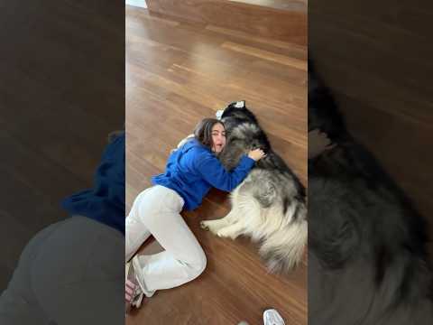 PILLAN A ANDREA DANDOSE UN BESO!! 😳🐶 thumbnail