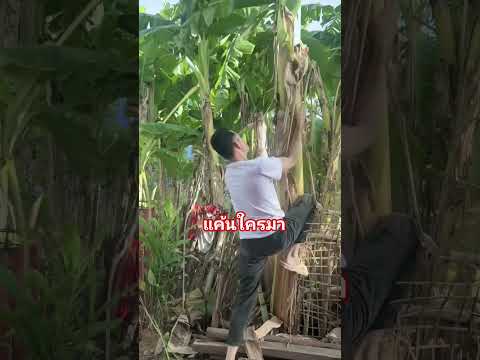 แค้นใครมา #คริปตลก thumbnail