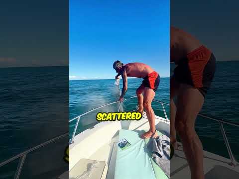 Owner Takes One Last Swim With His Dog ?❤️ thumbnail