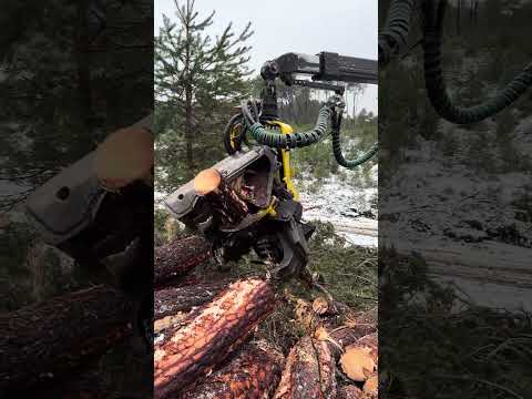 ⭐ Snow Can’t Stop This 1270G Harvester #forest #harvester #johndeere #wood #lumberjack #snow #tree thumbnail