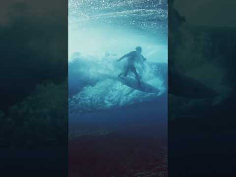 From Beneath… thumbnail