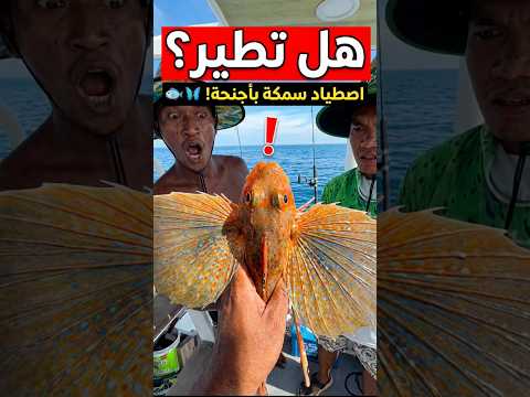 لم يصدقه أحد.. حتى حدثت هذه الكارثة! 🤯 thumbnail