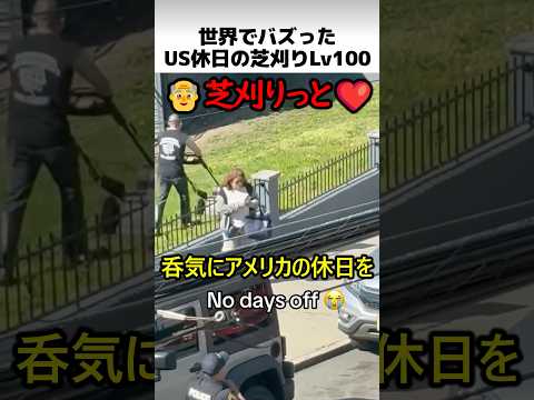 アメリカ休日の芝刈りレベル100 thumbnail