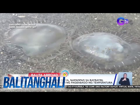 Dead Dikya | Balitanghali thumbnail