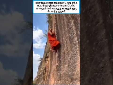 Ai இருந்தாலும் பார்க்க அருமை #shorts thumbnail