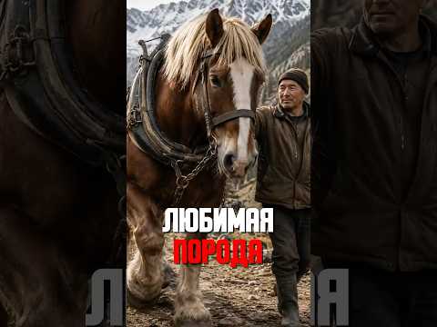 ТАЩИТ ПЯТЬ ТОНН и добрее ЛАБРАДОРА ??? thumbnail