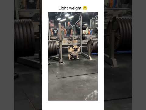 Bro took "never skip leg day" seriously thumbnail
