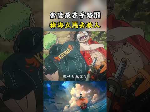 草帽團對路飛性命最在乎的人就是索隆，只要路飛掉入水中他都是第一個跳下去救人#onepiece #luffy #動漫 thumbnail