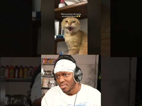 Cats Are So Random 😭 thumbnail