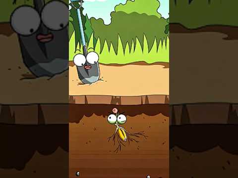 Często rozluźniaj i napowietrzaj glebę, plony dobrze rosną#shorts thumbnail