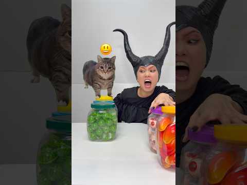 Sion princess Cute cat gummy dance thumbnail