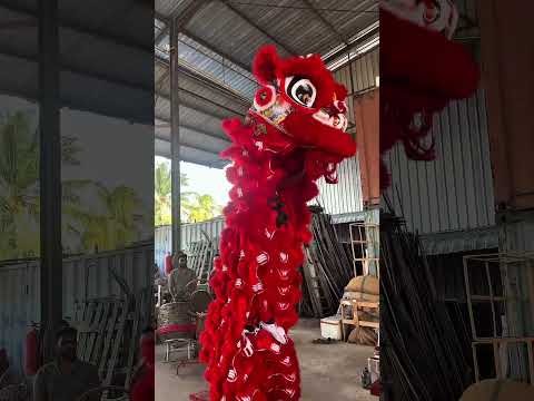 Aku Ceroboh Practice Lion Dance ?#shorts #comedy #comedyshorts #gothroughboys #fyp #fypシ #funny thumbnail
