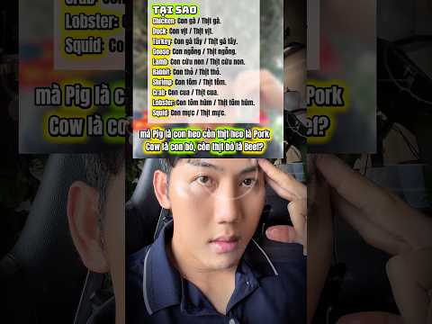 Vì sao tôi NGU tiếng Anh thumbnail
