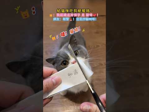 給貓咪吃剪紙餐咯😊 🐱：哇~我認識這兩個字是貓條耶😍 網友：報警⚠️這是詐騙💢🤣 #cat #funny #shorts #funnyshorts #cute thumbnail