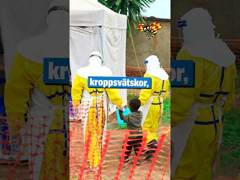 Varnar för dödliga virusutbrottet – utlyser nödläge thumbnail