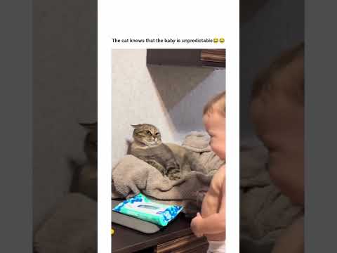 The cat knows that the baby is unpredictable ?❤️‍? thumbnail