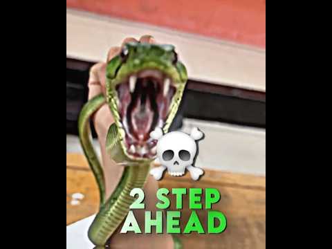 The last one is dangerous ??#funny #shorts thumbnail