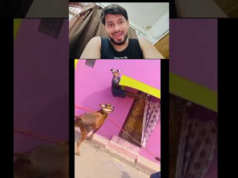 🤣 Wait For End 😂 #viral #comedy thumbnail