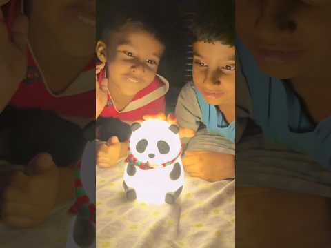 Anant ko light wala panda 🐼 mila thumbnail