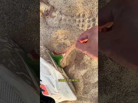 Kue Enak atau Kotoran? Kejutan Jijik di Sepatu🤯 🤢😱#shorts thumbnail