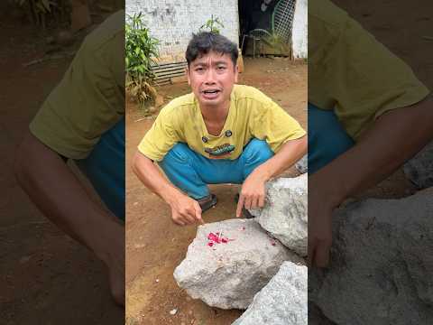 Makanan ucup tumpah thumbnail