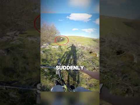 Biker Saw Strangers Who Love Nature thumbnail