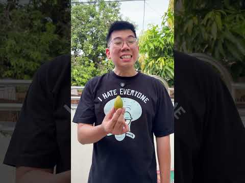 Kangen mangga thumbnail