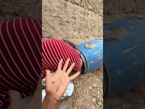 トカゲはコンゴウインコに優しくしなかった thumbnail