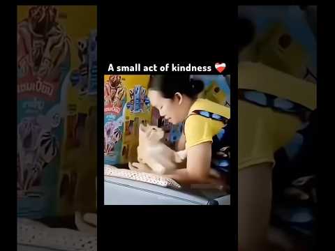 A small act of kindness ❤️‍?? thumbnail
