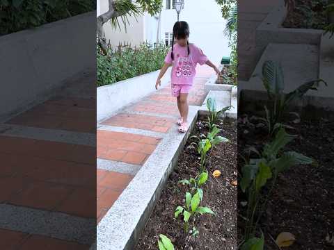 SH - Tìm đồ cho em gái || Kind sister, find toy for my girl #shorts thumbnail