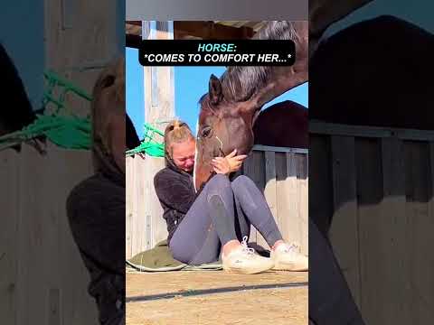 The Horse Didn't Know He Was The Reason ❤️‍? thumbnail