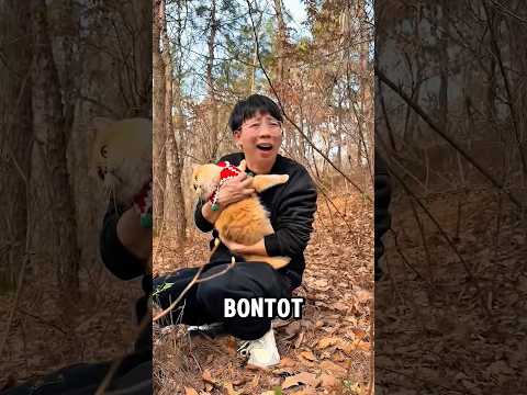 Bontot dan majikan tersesat di hutan thumbnail