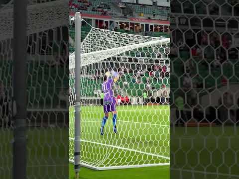 PIOTR ĆWIELONG PRÓBOWAŁ Z DYSTANSU! TAK CHCIAŁ ZASKOCZYĆ RUI PATRICIO #SHORTS thumbnail