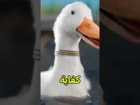أفضل طريقة لتصيد السمك 😨 #shortvideos thumbnail