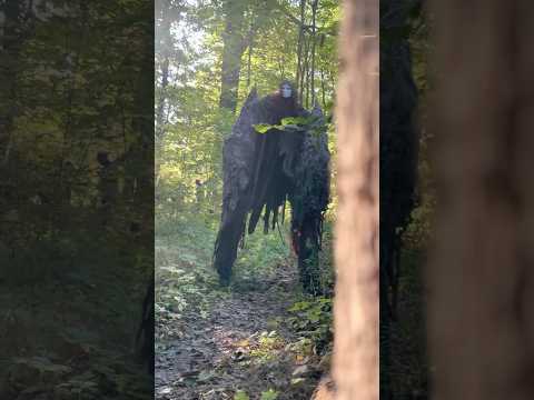 Why is this thing following me?! thumbnail