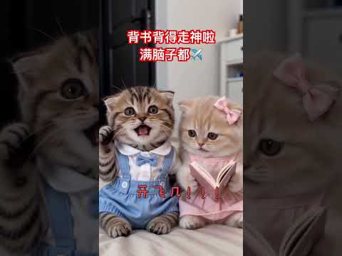 背书背得走神啦，满脑袋都是✈️ #cat #喵哥是萌新 thumbnail