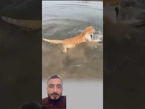 ولله جنود السماوات والأرض 🥺🙁 thumbnail