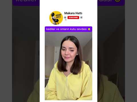 kediler ve onların kutu sevdası 😂 thumbnail