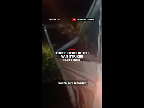 Three dead after van strikes elephant thumbnail