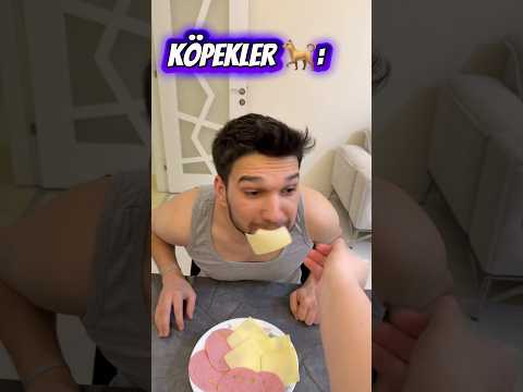 Köpeklere vs kedilere yemek verme ￼ thumbnail