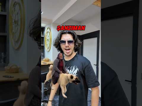 Favori köpeğin hangisi? 🐶😂 thumbnail