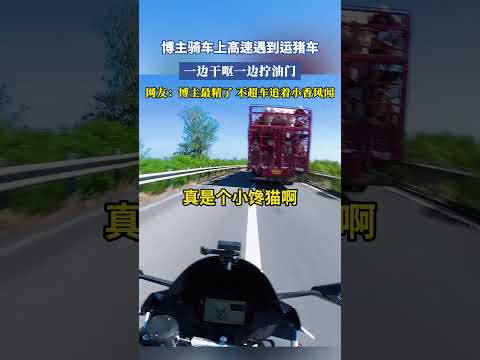 博主騎車上高速遇到運豬車，一邊幹嘔一邊擰油門，網友：博主最精了，不超車追著小香風聞 #大熱門 #共鳴 thumbnail