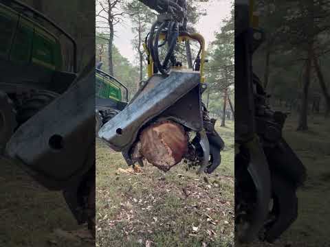 🔥Turn Up the Volume: Harvester 1270G Cutting Wood #harvester #forest #johndeere #wood #farming thumbnail
