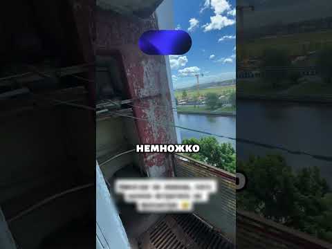 Нашли голубя в новой квартире 😂😂😂 thumbnail