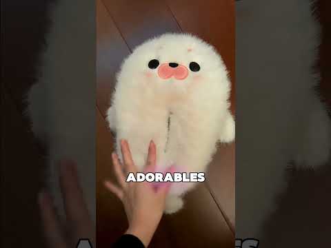 Destruyeron Todas Las Pantuflas De La Chica 🤯 thumbnail