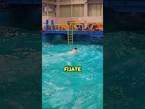 el DESAFIO de PISCINA más EXTREMO para SALVAR VIDAS ?? #shorts #curiosidades #sabiasque #wow #win thumbnail